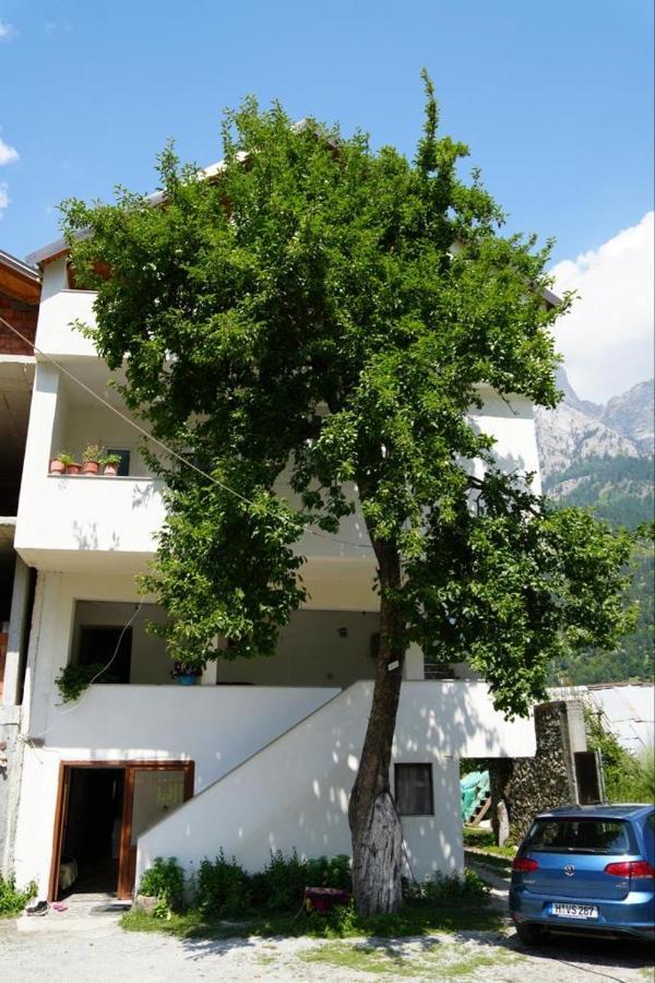 Guesthouse Skender Selimaj Valbonne Exterior foto
